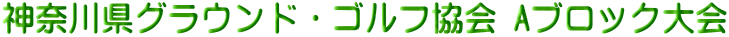 �_�ސ쌧�O���E���h�E�S���t���� A�u���b�N���