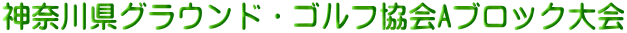 神奈川県グラウンド・ゴルフ協会Aブロック大会 