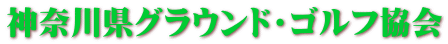 �_�ސ쌧�O���E���h�E�S���t���� 