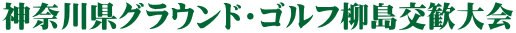 神奈川県グラウンド・ゴルフ柳島交歓大会
