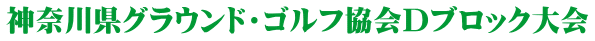 神奈川県グラウンド・ゴルフ協会Dブロック大会